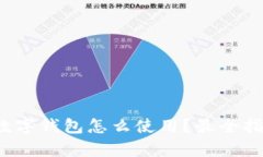  Visa数字钱包怎么使用？最全指南解析