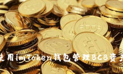 使用imToken钱包管理BCB资产