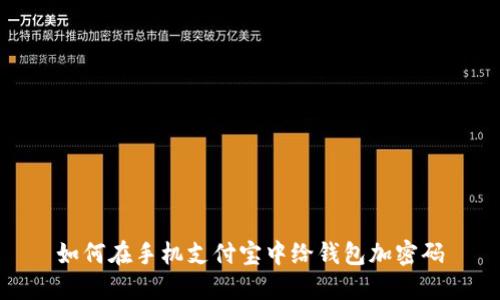 如何在手机支付宝中给钱包加密码