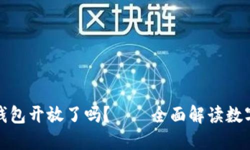 数字钱包开放了吗？——全面解读数字钱包