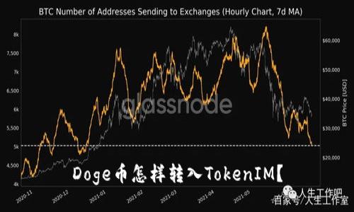 Doge币怎样转入TokenIM？