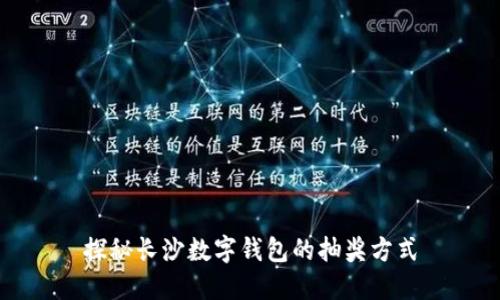 探秘长沙数字钱包的抽奖方式