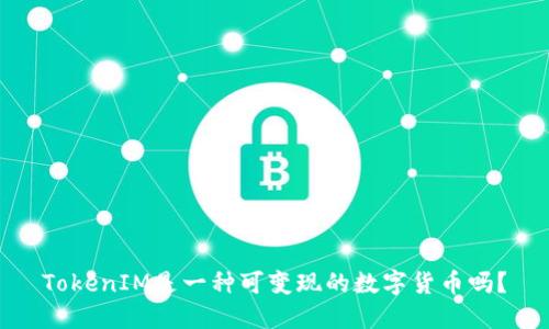 TokenIM是一种可变现的数字货币吗？