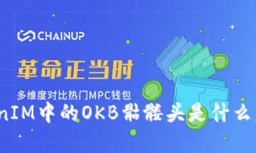 TokenIM中的OKB骷髅头是什么意思？