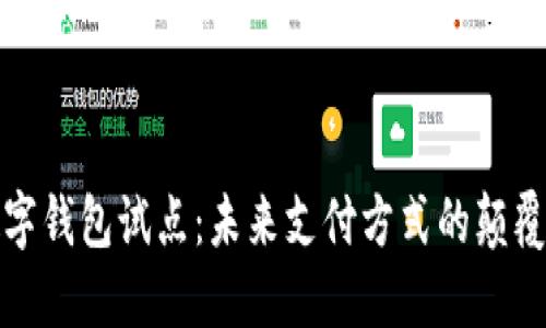 数字钱包试点：未来支付方式的颠覆者