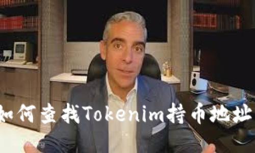 如何查找Tokenim持币地址？