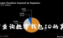 如何查询数字钱包ID的真伪？