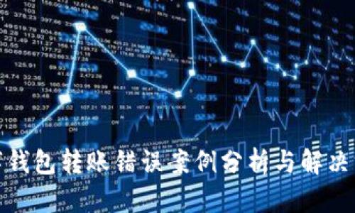 数字钱包转账错误案例分析与解决方案