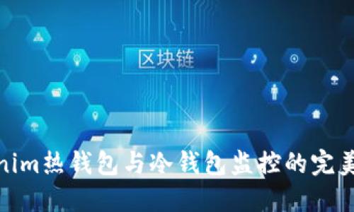 Tokenim热钱包与冷钱包监控的完美结合