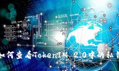 如何查看TokenIM 2.0中的私钥