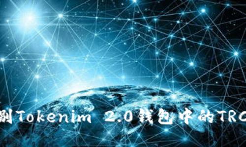 如何识别Tokenim 2.0钱包中的TRC20地址