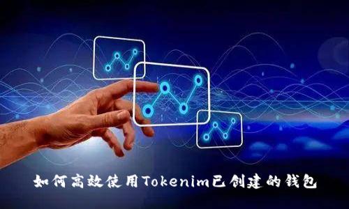 如何高效使用Tokenim已创建的钱包