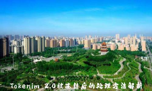 
Tokenim 2.0被冻结后的处理方法解析