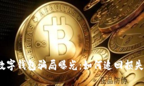数字钱包骗局曝光：如何追回损失？