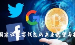 中国建设数字钱包的未来展望与挑战