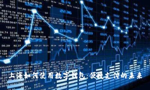 上海如何使用数字钱包：便捷支付的未来
