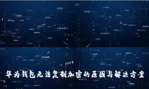 华为钱包无法复制加密的原因与解决方案