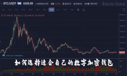 如何选择适合自己的数字加密钱包
