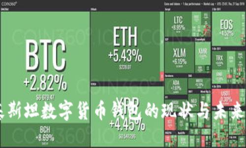巴基斯坦数字货币钱包的现状与未来展望
