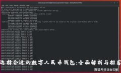 选择合适的数字人民币钱包：全面解析与推荐