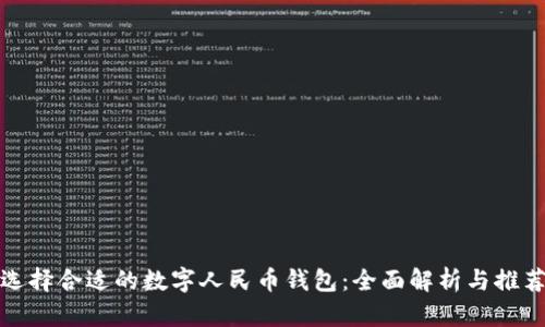 选择合适的数字人民币钱包：全面解析与推荐