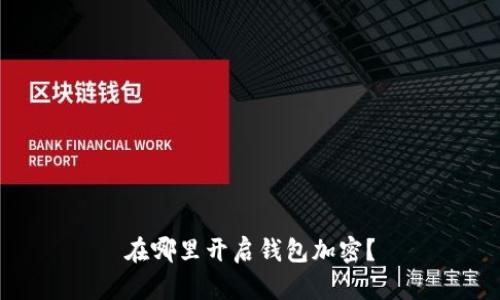 在哪里开启钱包加密？