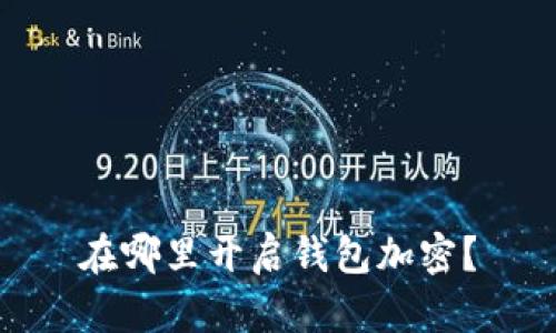 在哪里开启钱包加密？