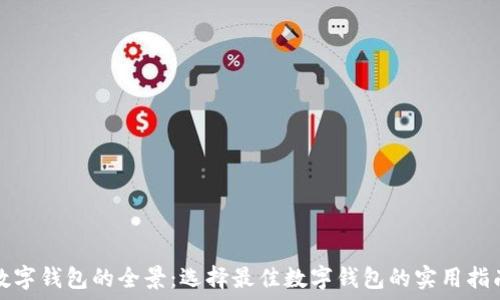  
数字钱包的全景：选择最佳数字钱包的实用指南