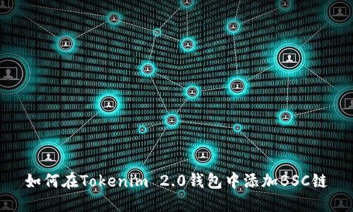 如何在Tokenim 2.0钱包中添加BSC链