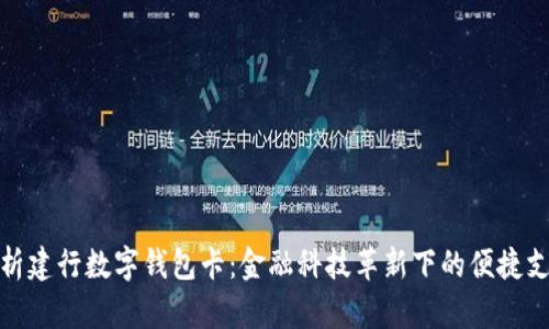 全面解析建行数字钱包卡：金融科技革新下的便捷支付体验