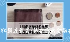 数字钱包KYC强度最高：保护您的金融安全新标准