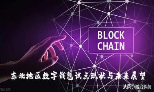 东北地区数字钱包试点现状与未来展望