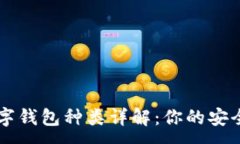 :区块链数字钱包种类详解：你的安全储值助手
