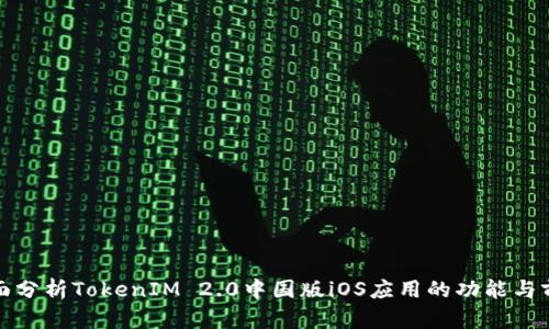 全面分析TokenIM 2.0中国版iOS应用的功能与前景