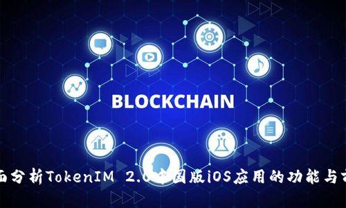 全面分析TokenIM 2.0中国版iOS应用的功能与前景
