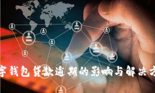 数字钱包贷款逾期的影响与解决方案
