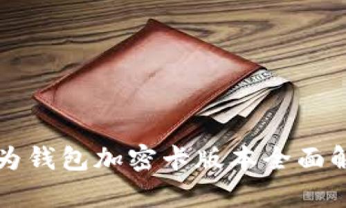 华为钱包加密卡版本全面解析
