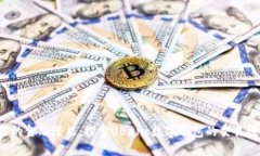 释放你的金融潜能：探索UBank数字钱包的交易数盛