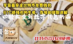 在当今的数字化时代，数字钱包已经成为我们生