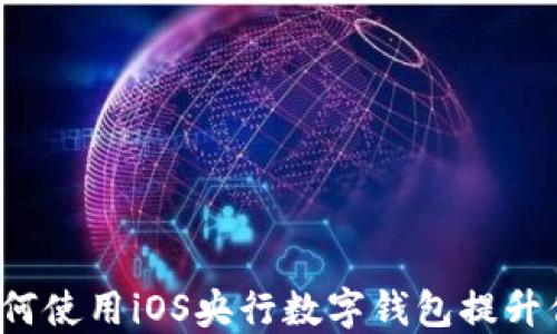 
掌握未来：如何使用iOS央行数字钱包提升你的生活质量