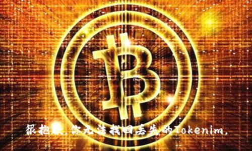 很抱歉，你无法找回丢失的Tokenim。