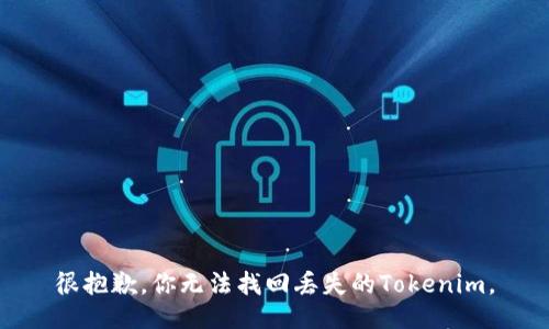 很抱歉，你无法找回丢失的Tokenim。