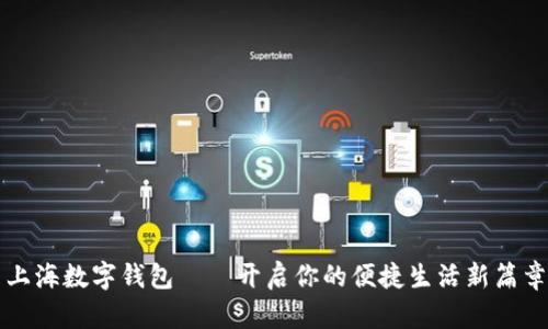 上海数字钱包——开启你的便捷生活新篇章