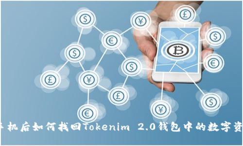换手机后如何找回Tokenim 2.0钱包中的数字资产？