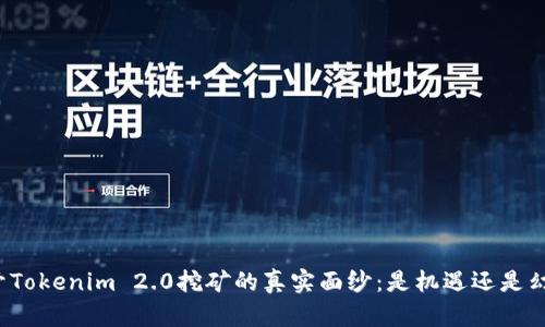 揭开Tokenim 2.0挖矿的真实面纱：是机遇还是幻影？