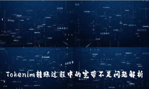 Tokenim转账过程中的宽带不足问题解析