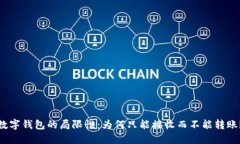 数字钱包的局限性：为何