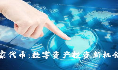 家代币：数字资产投资新机会