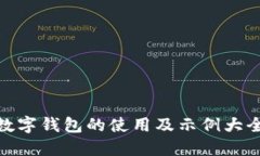 数字钱包的使用及示例大