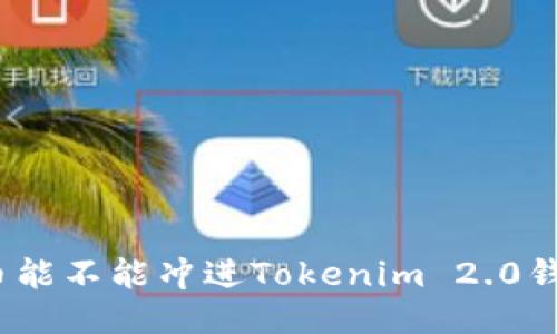 假币能不能冲进Tokenim 2.0钱包？